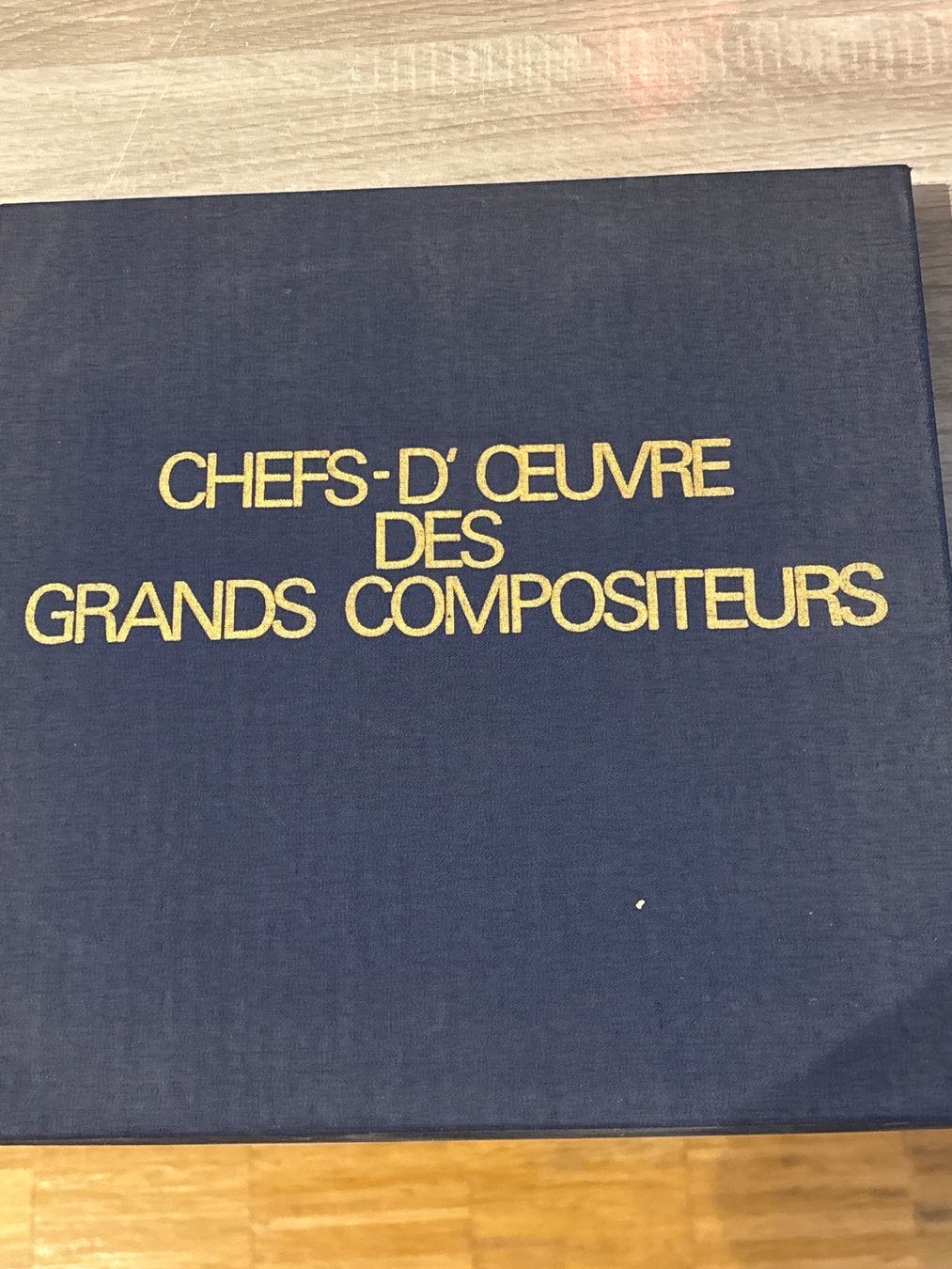 Dischi in vinile: Coffret de 10 vinyles, musique classique – Usato da Chêne-Bourg venduto da iva_6fxv