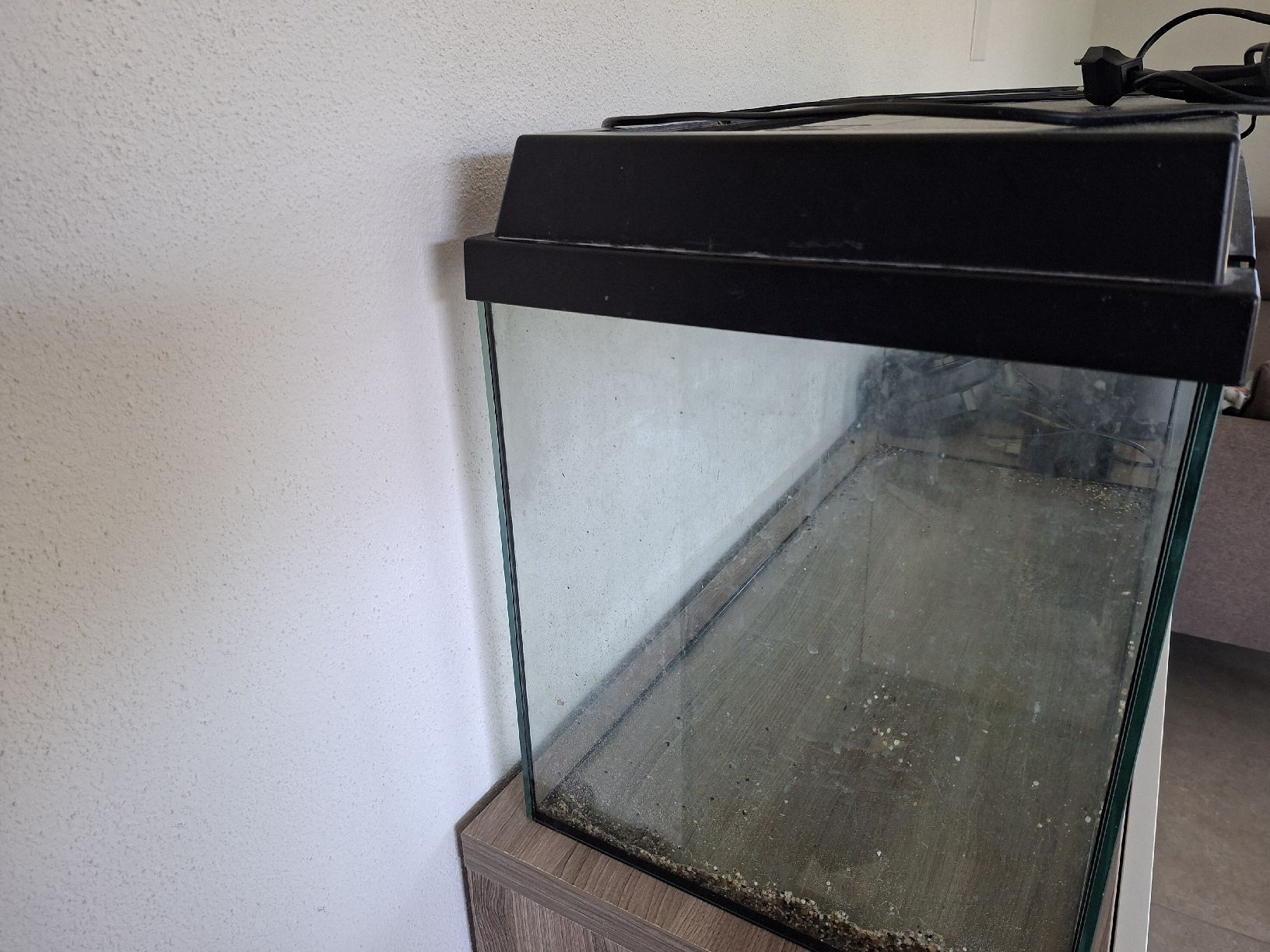 Acquari: Aquarium gebraucht – Usato da Weinfelden venduto da Lehics 1