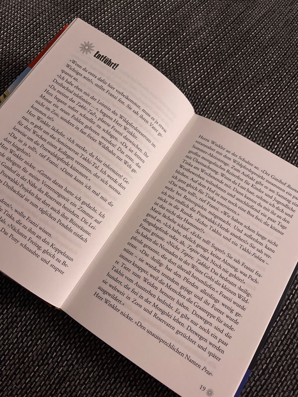 Libri: Die 3!!! Wildpferde in Gefahr – Usato da Samstagern venduto da Katinka8 2