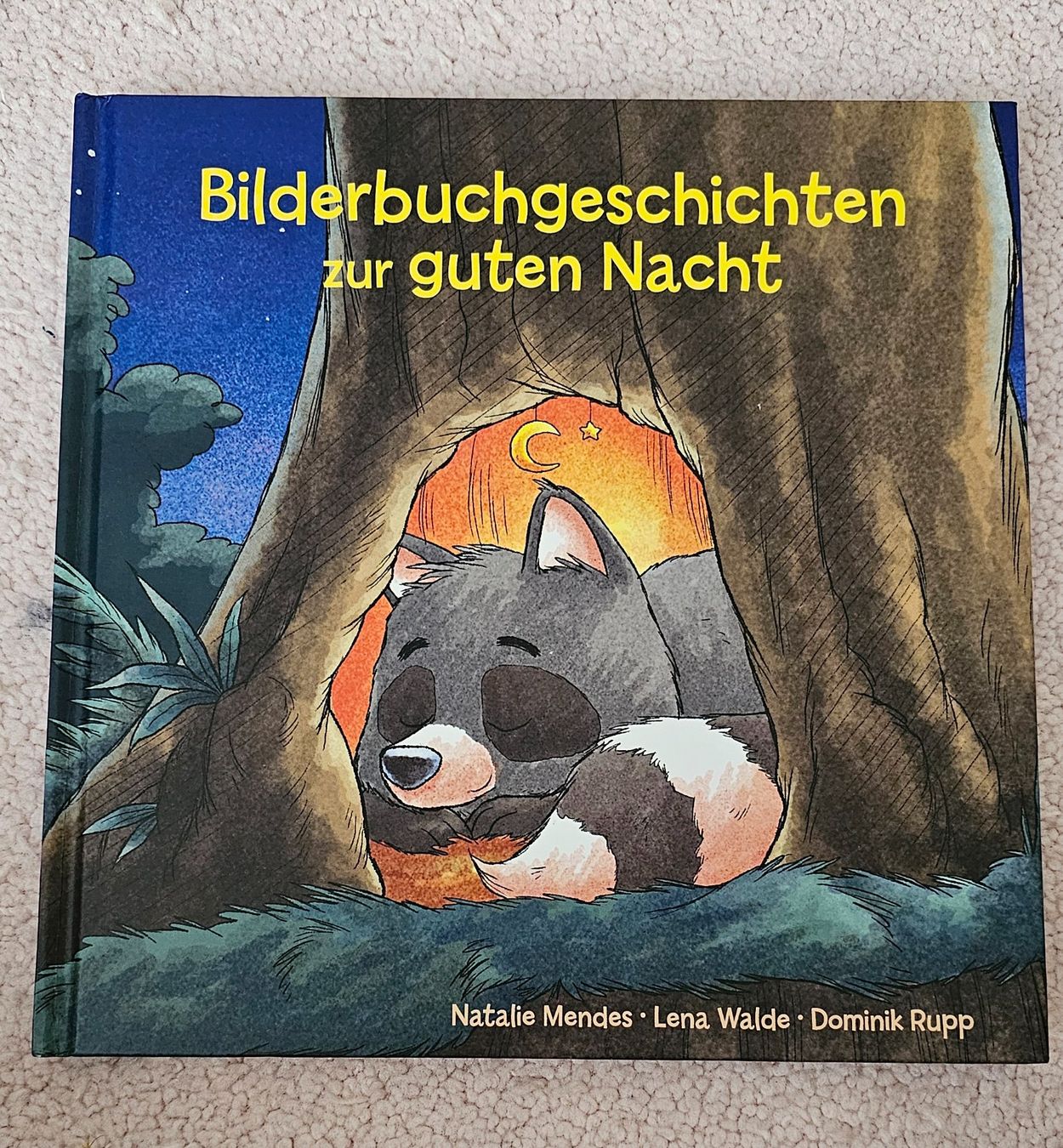 Bücher: Kinderbücher – Gebraucht aus Kreuzlingen von nilguen 1