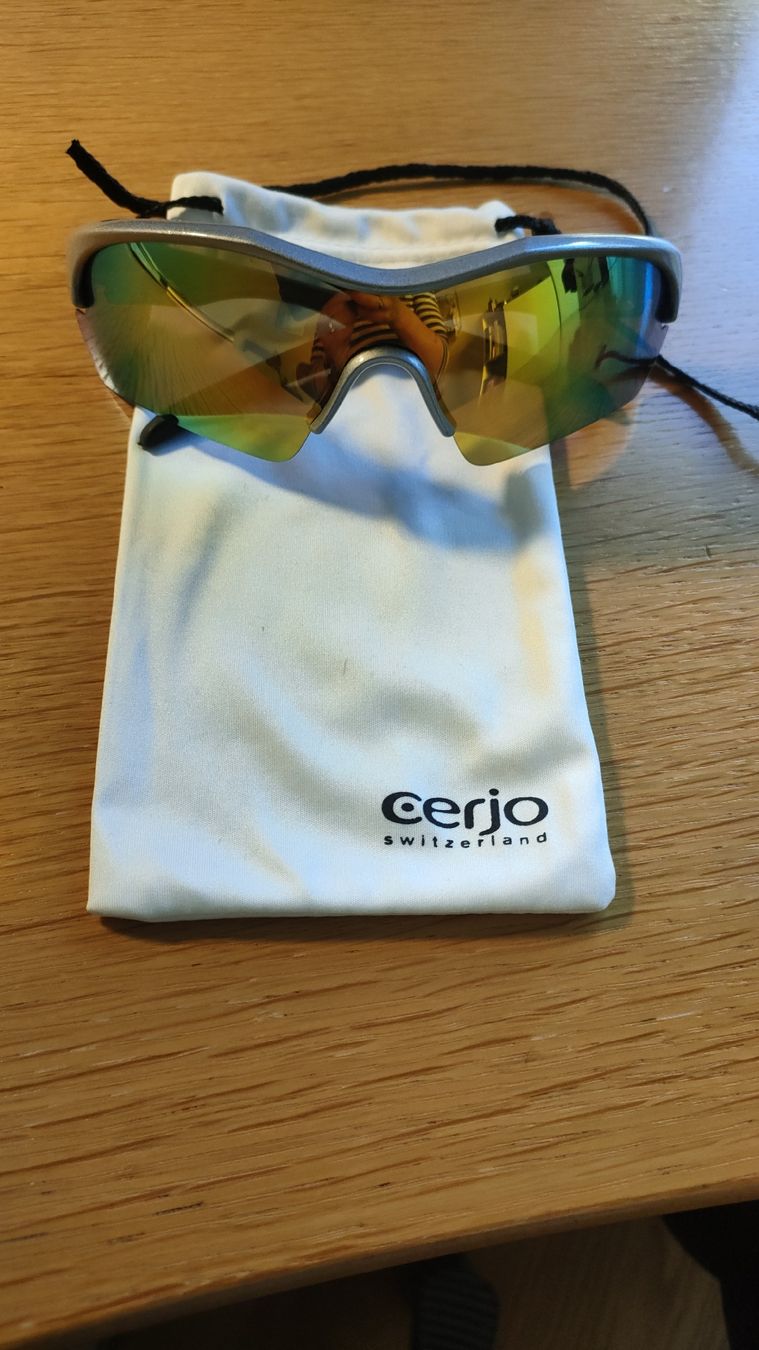 Polaroid Occhiali & Lenti: Polaroid Sonnenbrille – Nuovo (secondo la descrizione) da Kilchberg ZH venduto da evahug