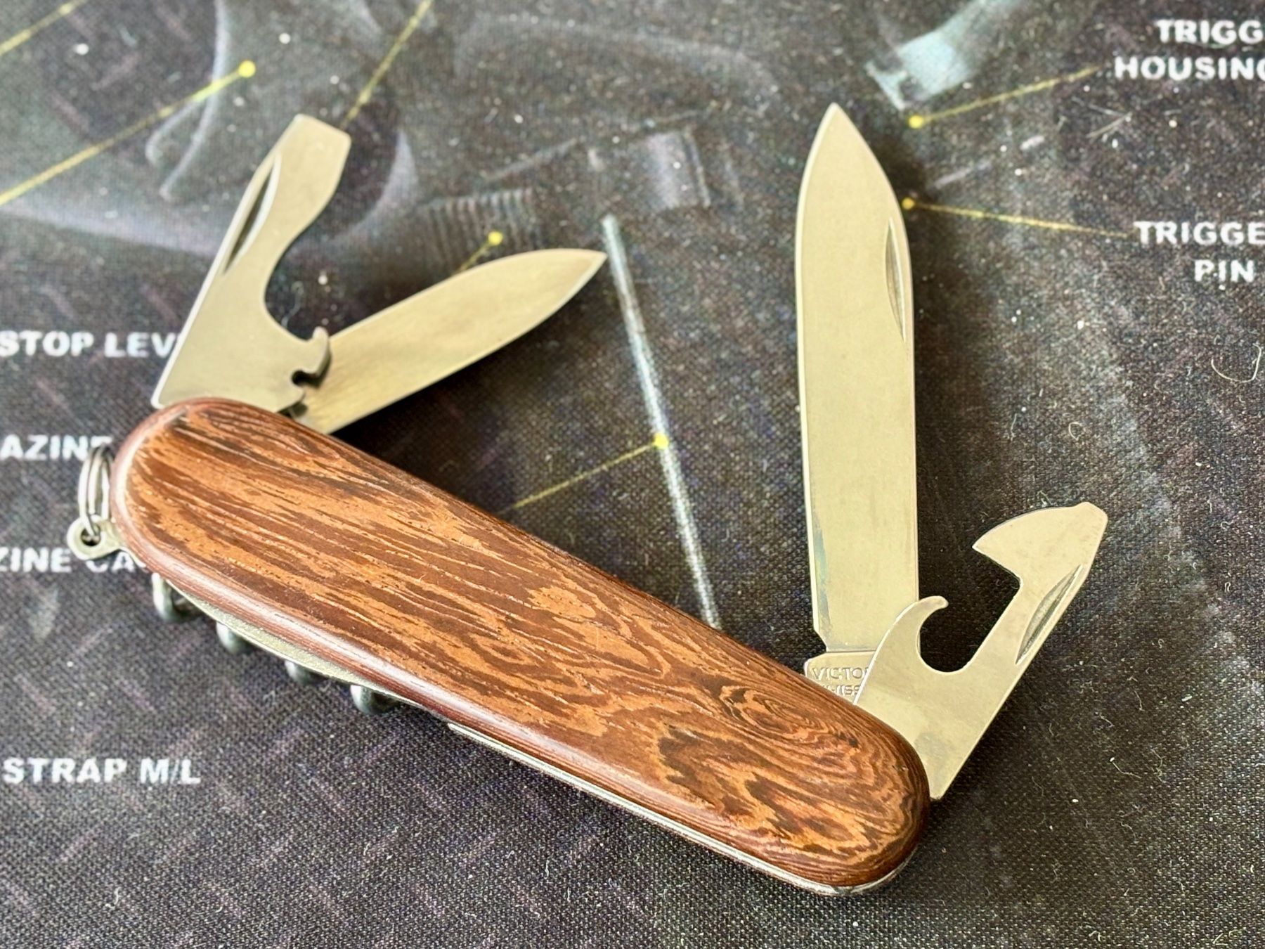 Victorinox Coltelli tascabile: Victorinox Walnuss – Nuovo (secondo la descrizione) da Frauenkappelen venduto da Doc_Snyder