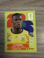 PANINI Fifa RSA 15