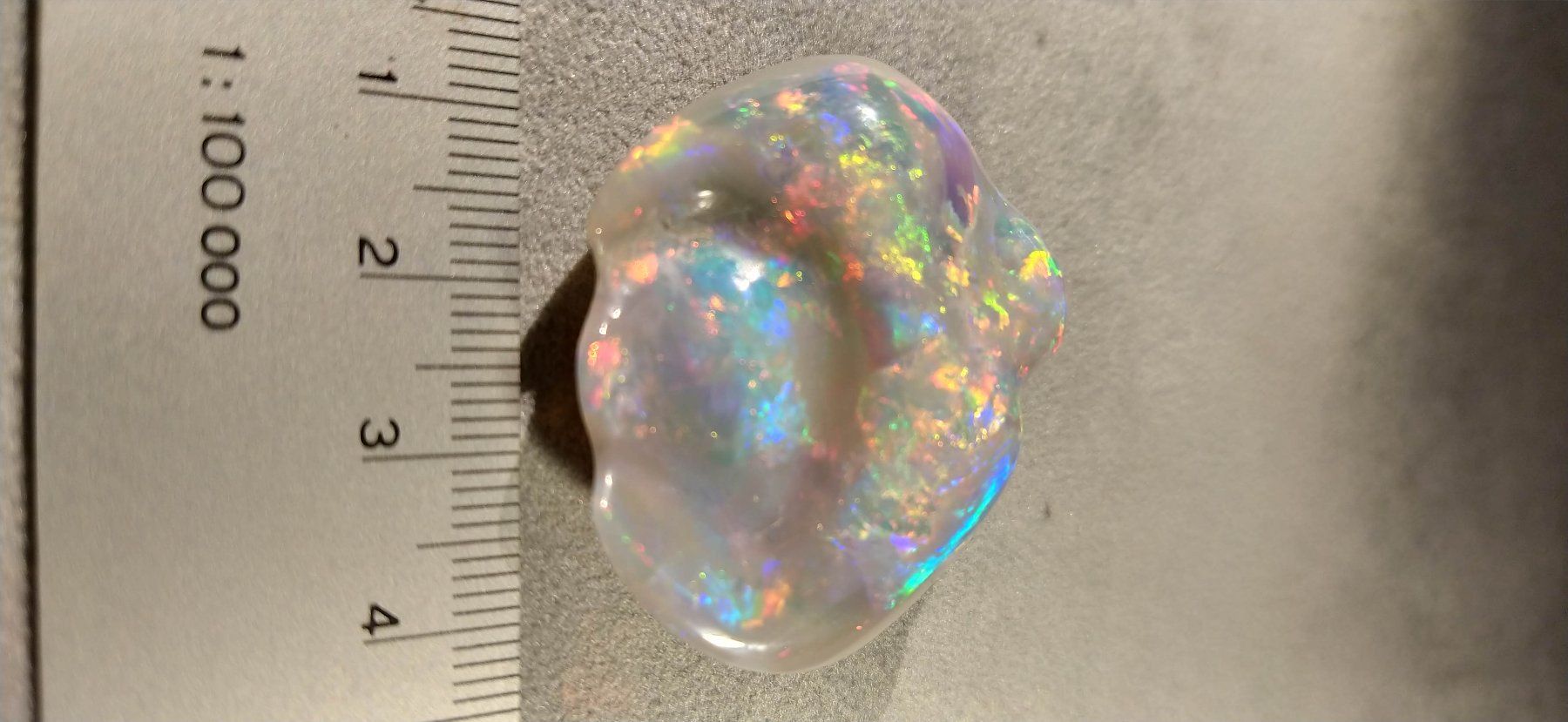 Fossili: Opalisierte Muschel – Nuovo (secondo la descrizione) da Dieterswil venduto da Opal66 3