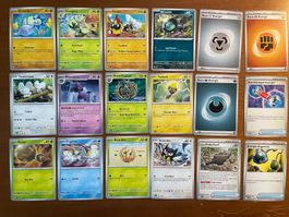 Pokemon Karten Set (Versand gratis)