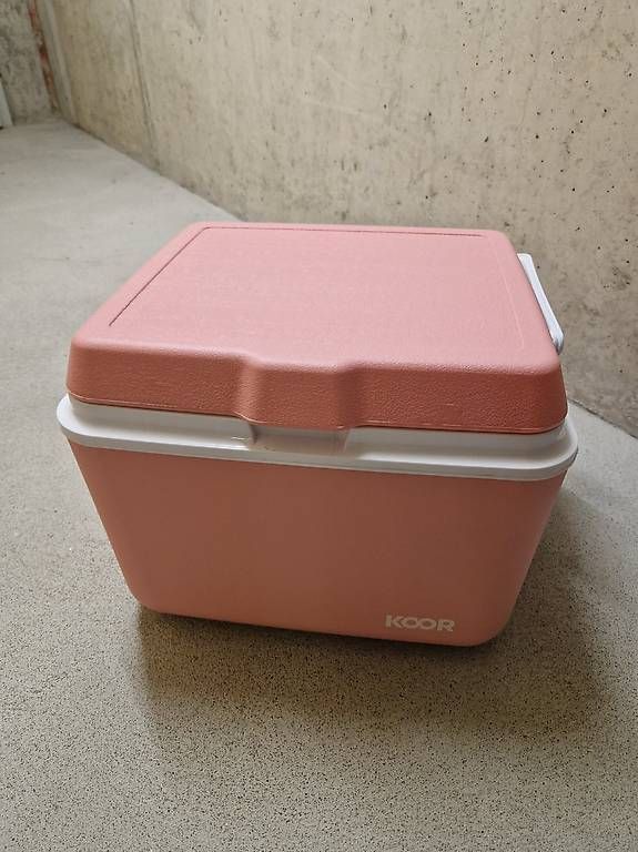 Frigoriferi & Refrigeratori: Kühlbox pink, 25l – Usato da Kehrsatz venduto da McYuli
