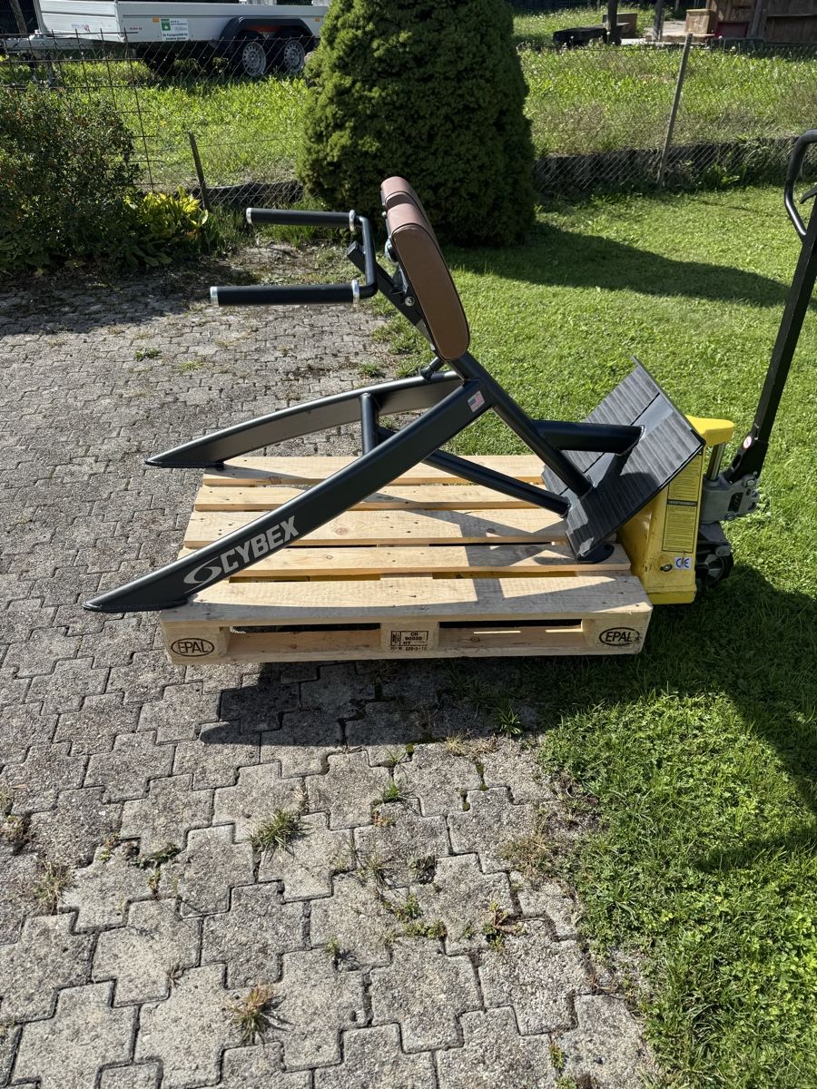 Cybex Hometrainer: Cybex  Back Hyperextension  – Usato da St. Margrethen SG venduto da taf_alb 1