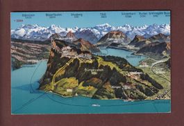 BÜRGENSTOCK und Umgebung - Vogelschau