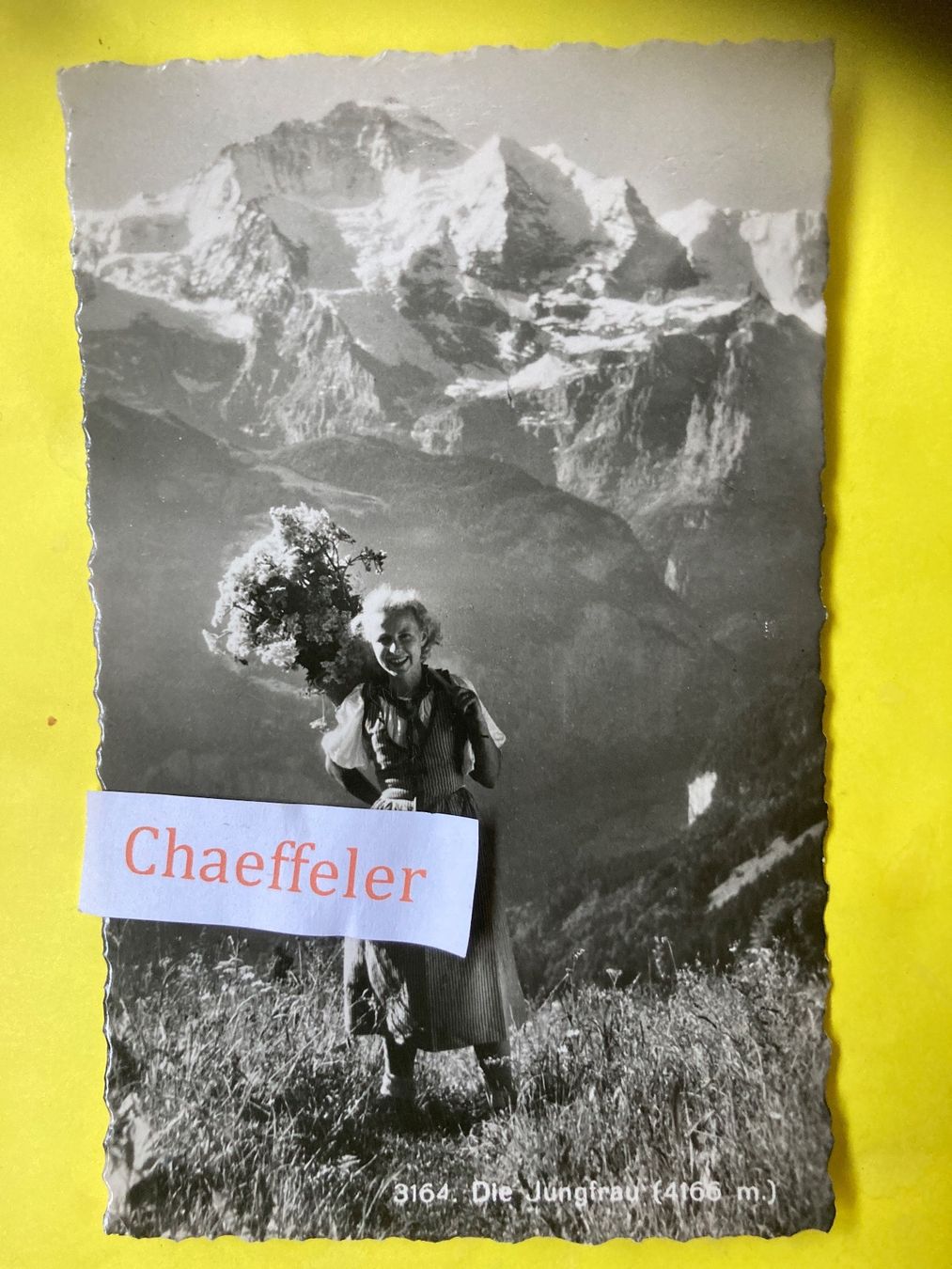 Cartoline postali: 1956 3164 Die Jungfrau – Usato da Zürich venduto da Chaeffeler