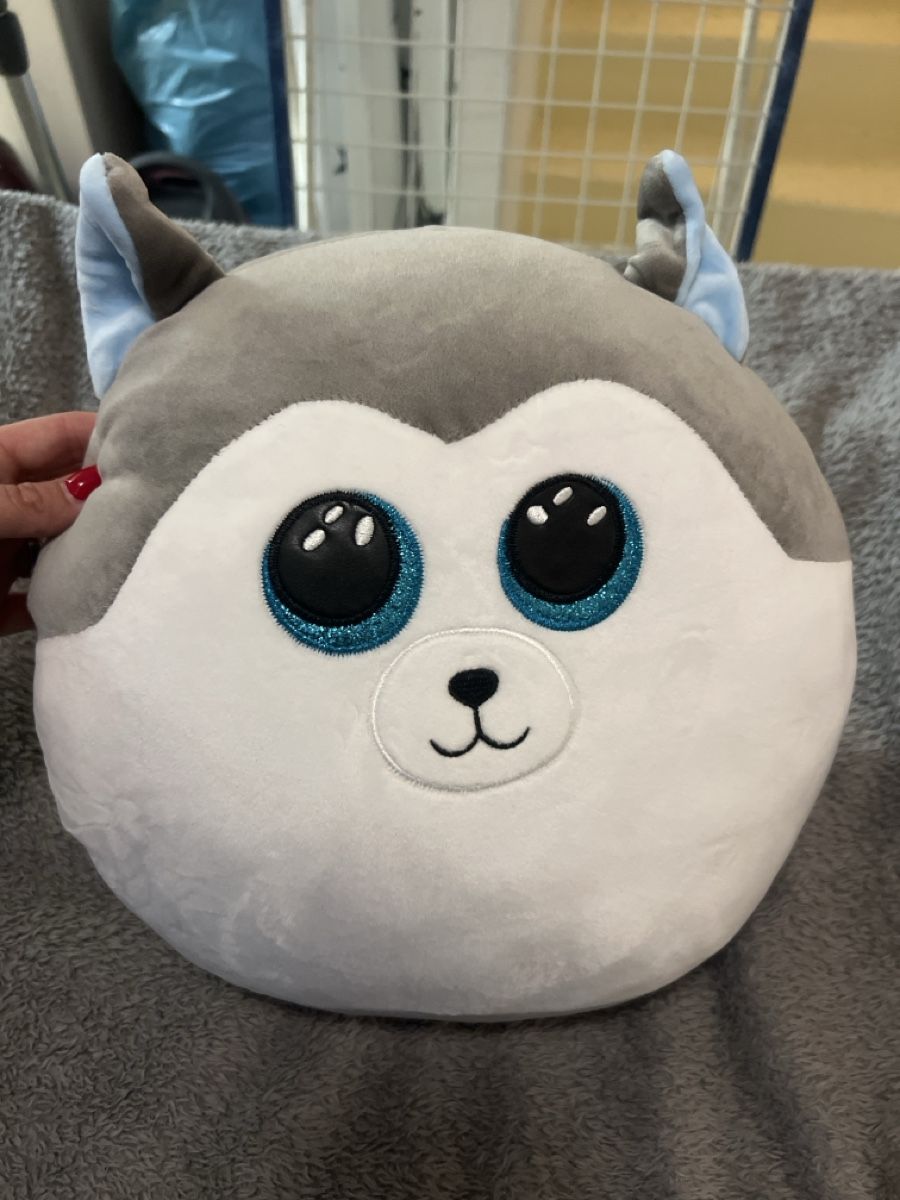 Squishmallows Spielzeuge: Squishmallows Plüschtier  – Gebraucht aus Laufen von Nachlasverkauf