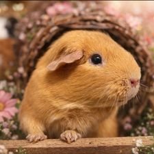 Profile image of jes_q9cb