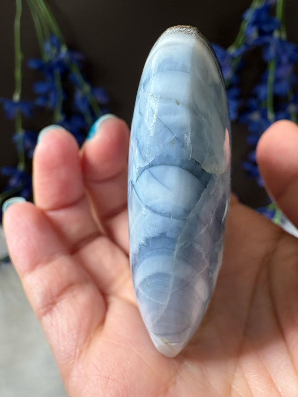 Mineralien & Heilsteine: Owyhee Opal – Neu (gemäss Beschreibung) aus Neuheim von m.hald 5