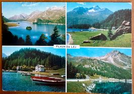 Plaun da Lej  am Silsersee - Multivue