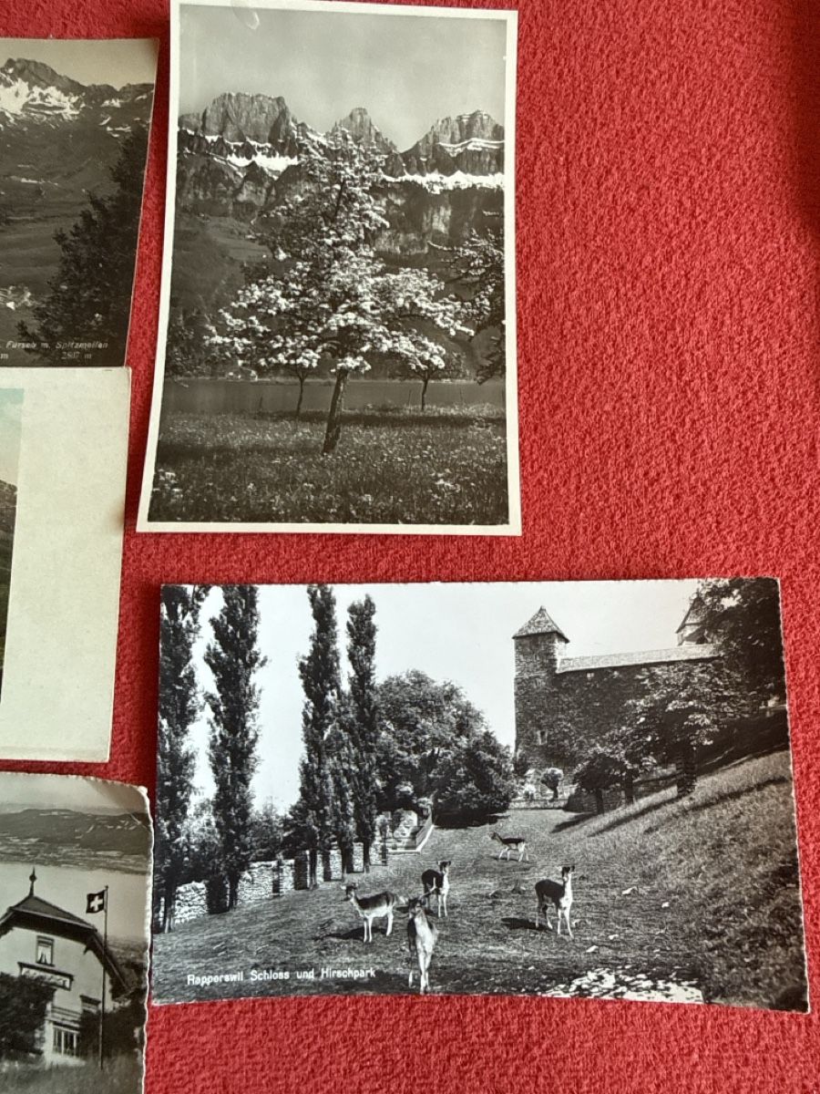 Cartoline postali: Ak SG Restaurant Freudenberg – Usato da St. Antönien venduto da and_75rc 1