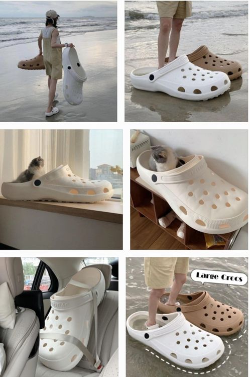 XXL Croc Gigantischer Schlupfschuh Katzenbett Hundebett Kaufen auf Ricardo
