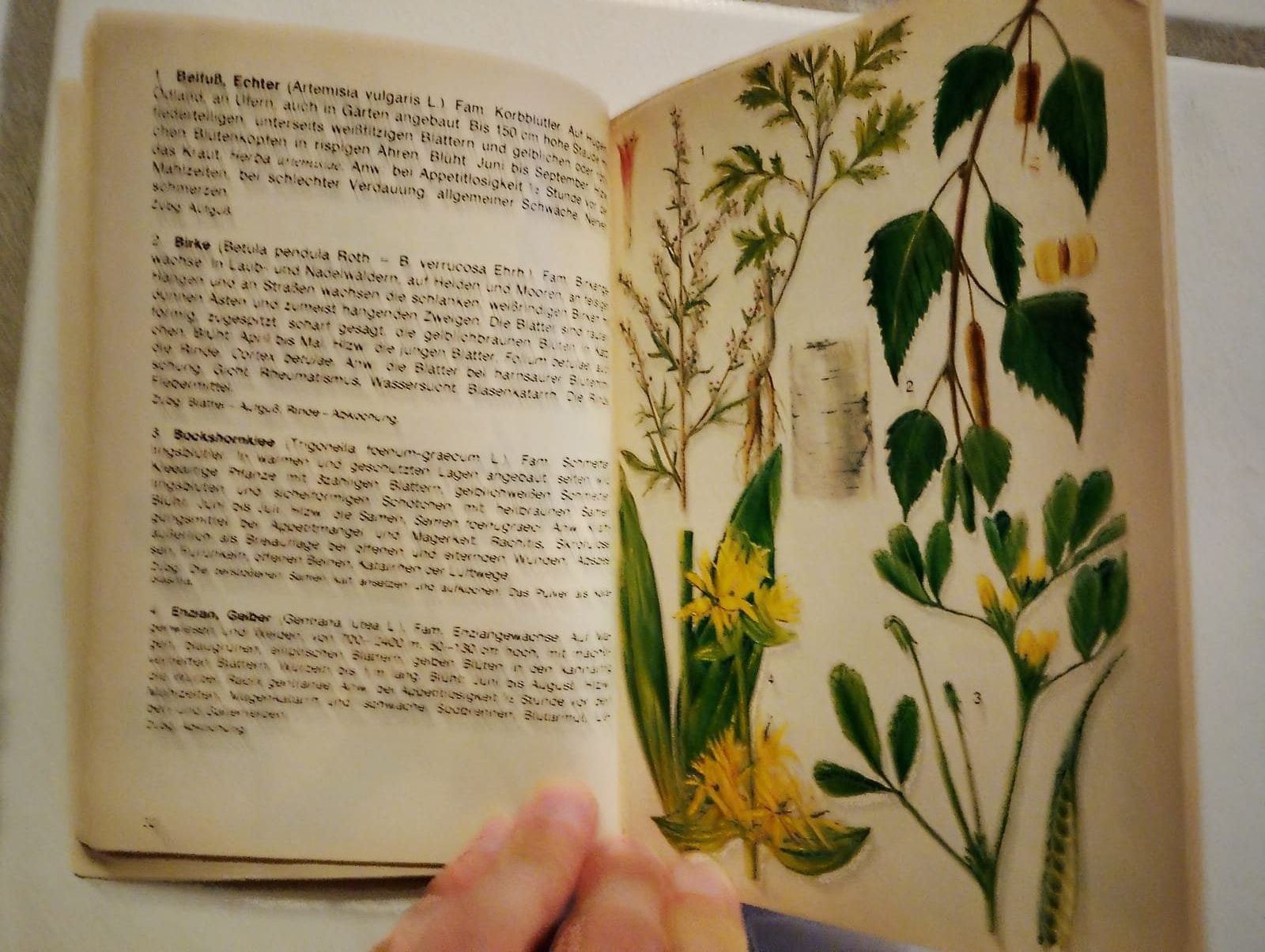 Libri: Heilkraft der Natur – Usato da Ehrendingen venduto da 2Guagua2 4