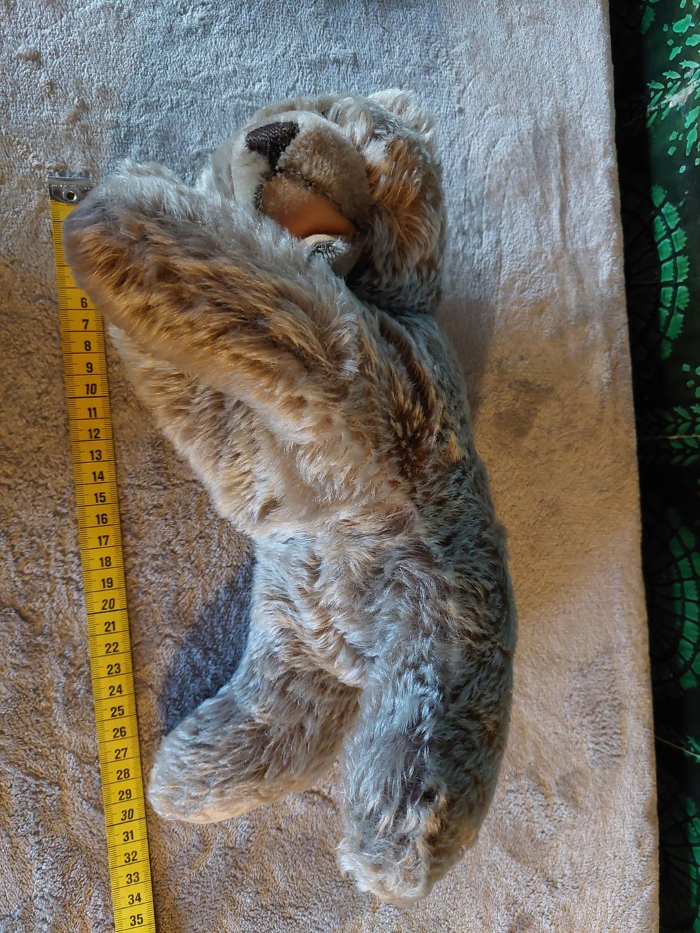 Steiff Giocattoli: Älterer schlafender Steiff Teddybär – Usato da Otelfingen venduto da silver-moon 1