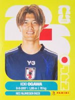 Panini FIFA World Cup JPN 19