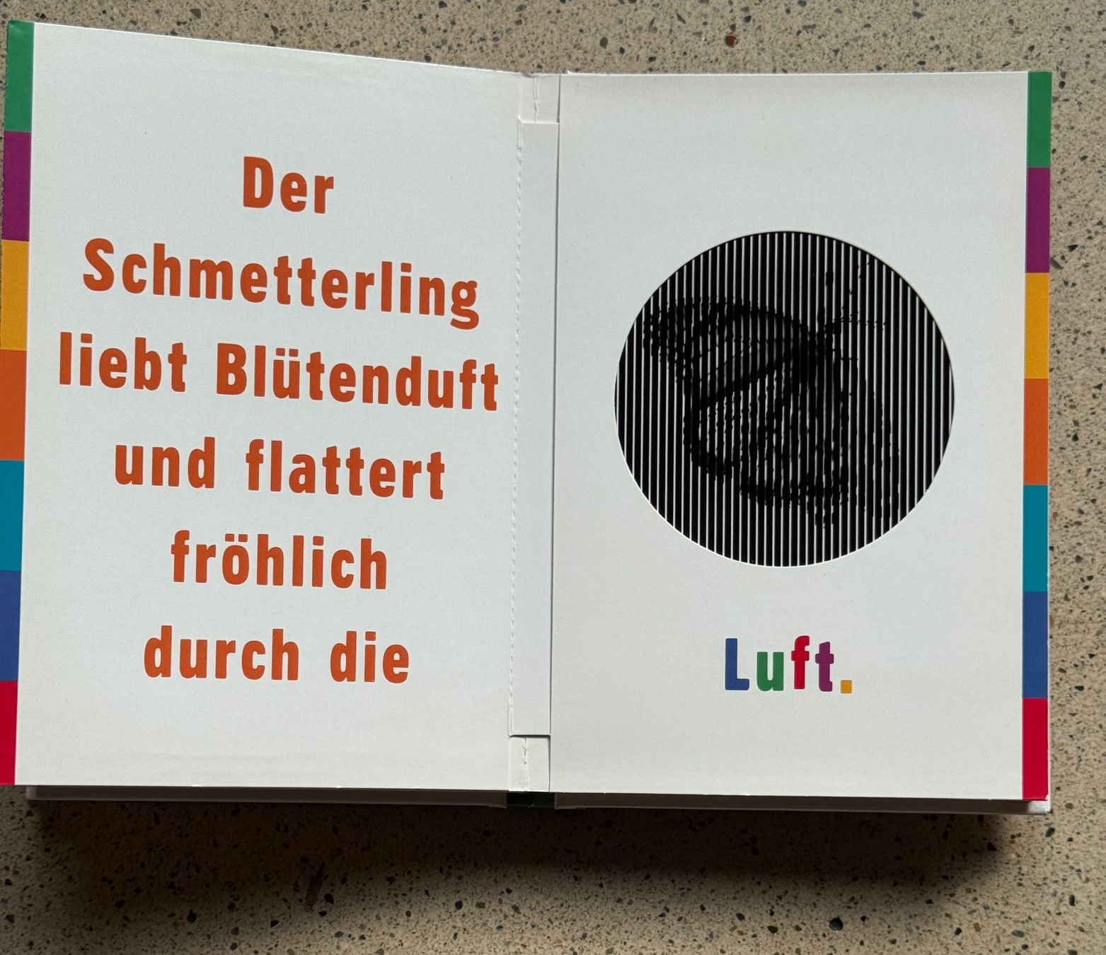 Bücher: Galopp! Neuwertig – Neu (gemäss Beschreibung) aus Zürich von Octopus-275 2