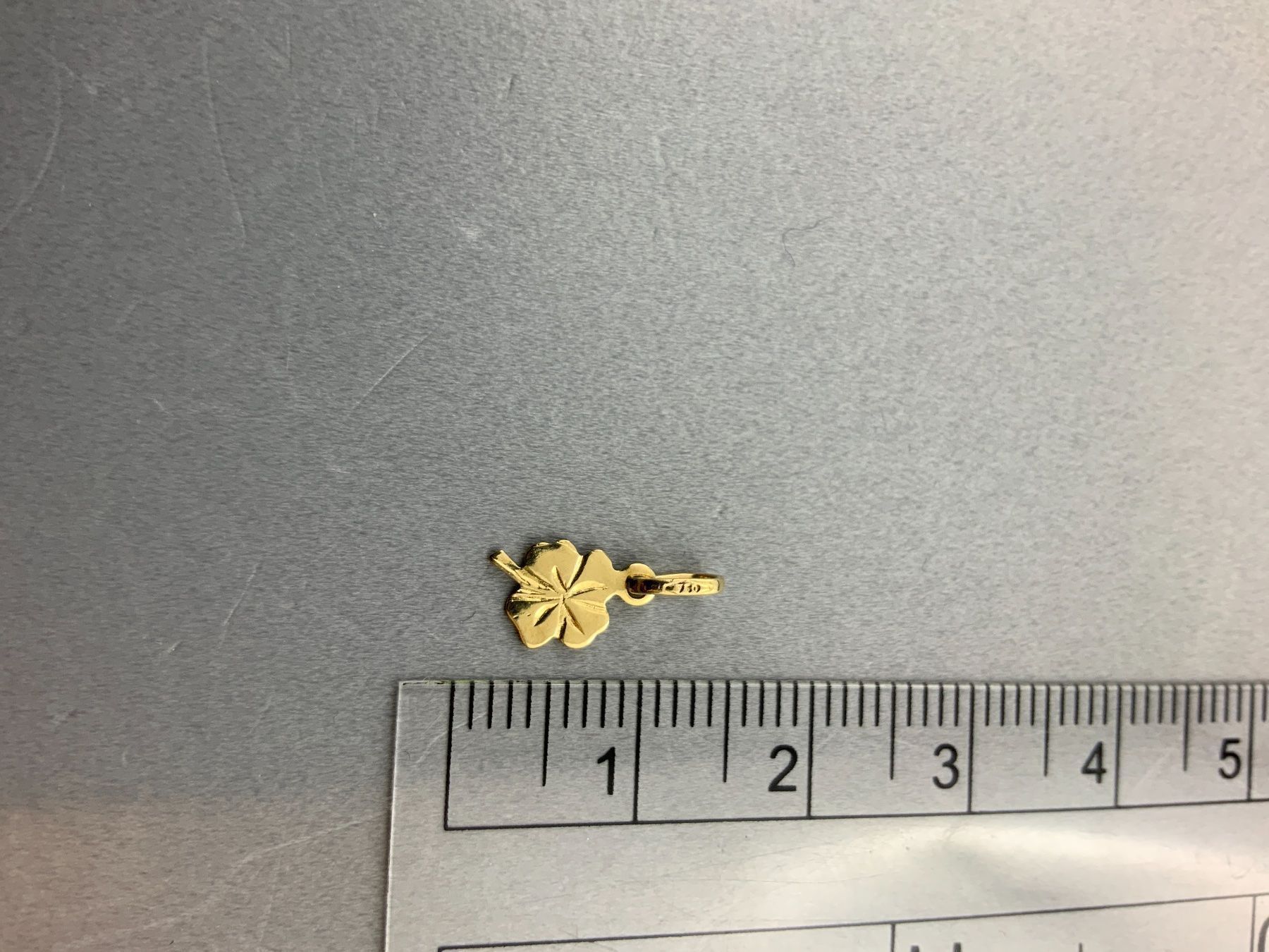 Anhänger: Anhänger 750 Gold – Gebraucht aus Niederuzwil von leo_8857 6