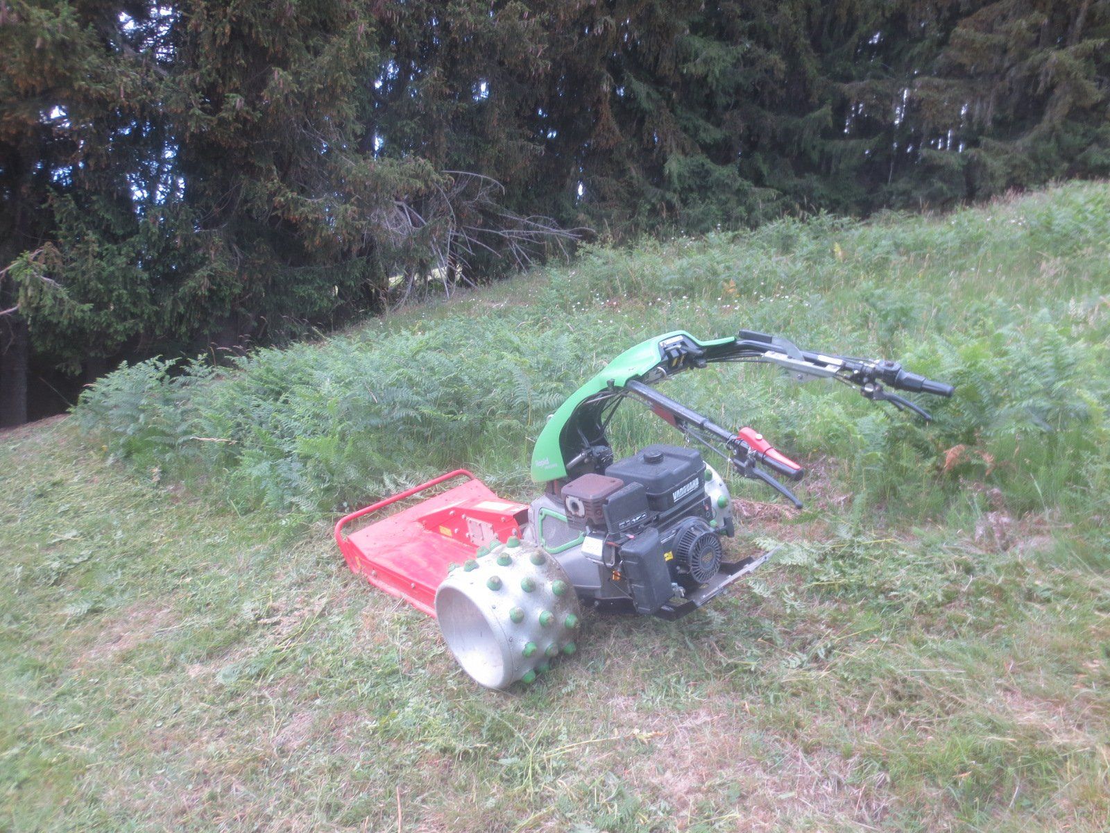Rapid Tutte le macchine: Rapid Mäher – Usato da Guggisberg venduto da Zorro120 1