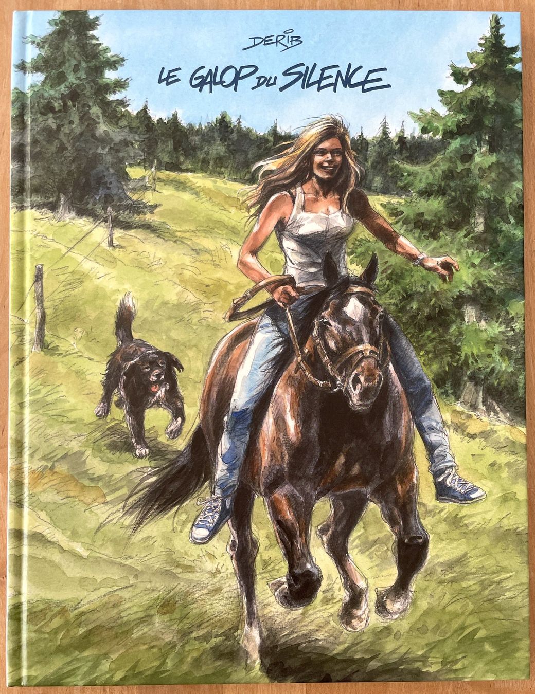 Fumetti: Derib - Le galop du silence E.O. 2015 TBE avec dédicace !!! – Usato da Savagnier venduto da Ne2065