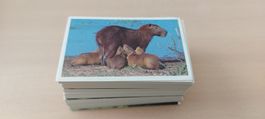 Sticker Mania, alle 200 Bilder, ungeklebt