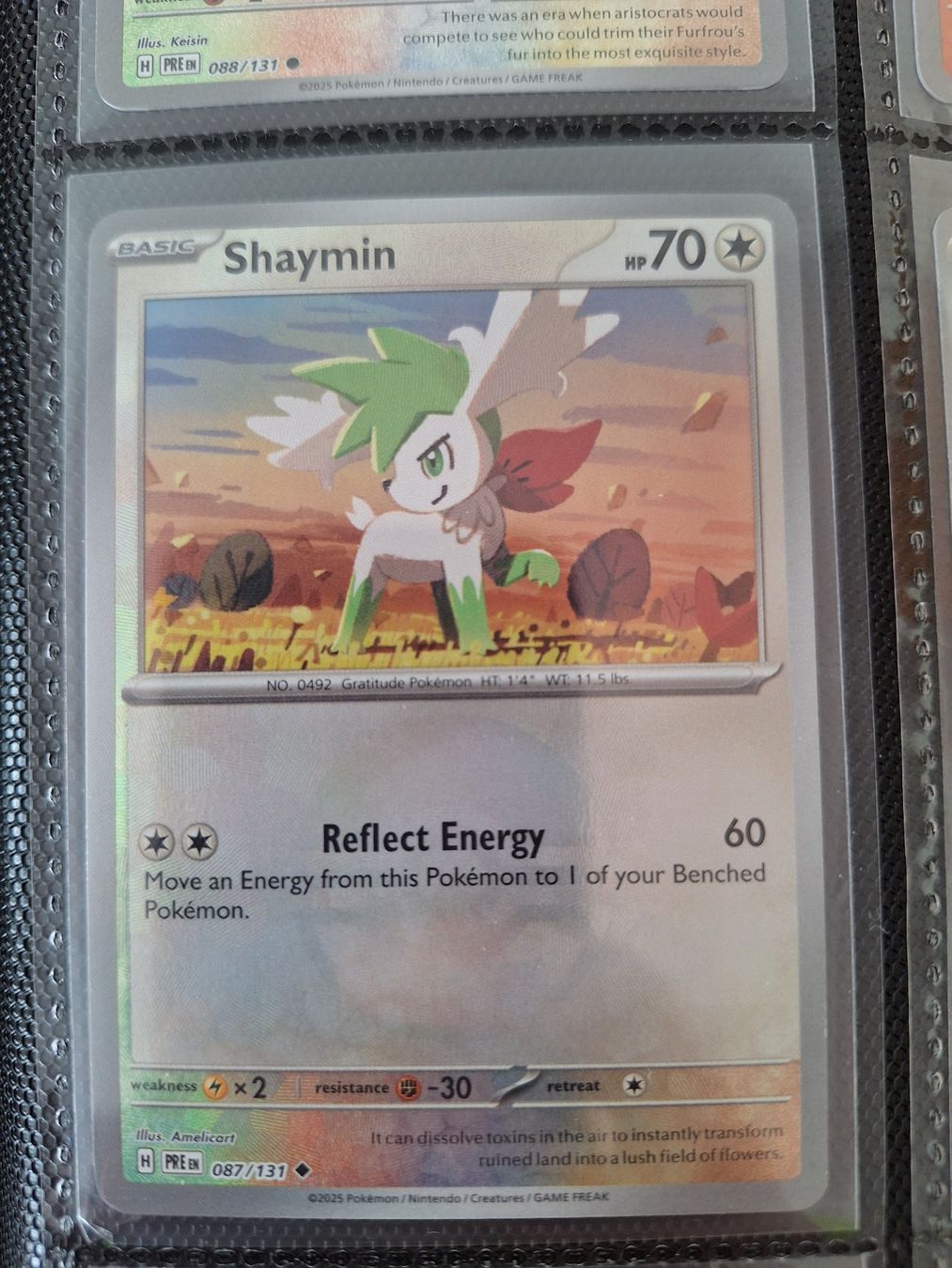 Pokémon Carte collezionabili: Shaymin - Pokeball - Prismatic Evolution – Usato da Altstätten SG venduto da GGsGameshop