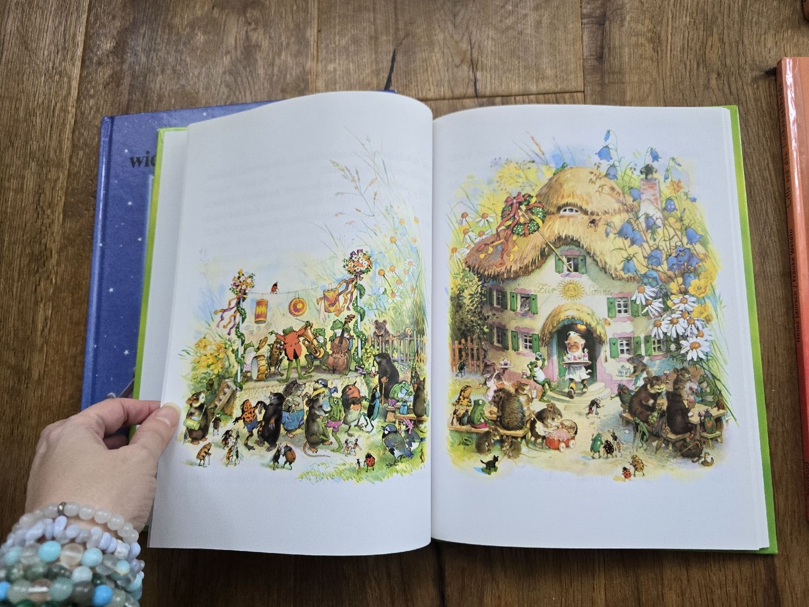 Libri: bücher für kinder – Usato da Wittenbach venduto da Tigerlili 4