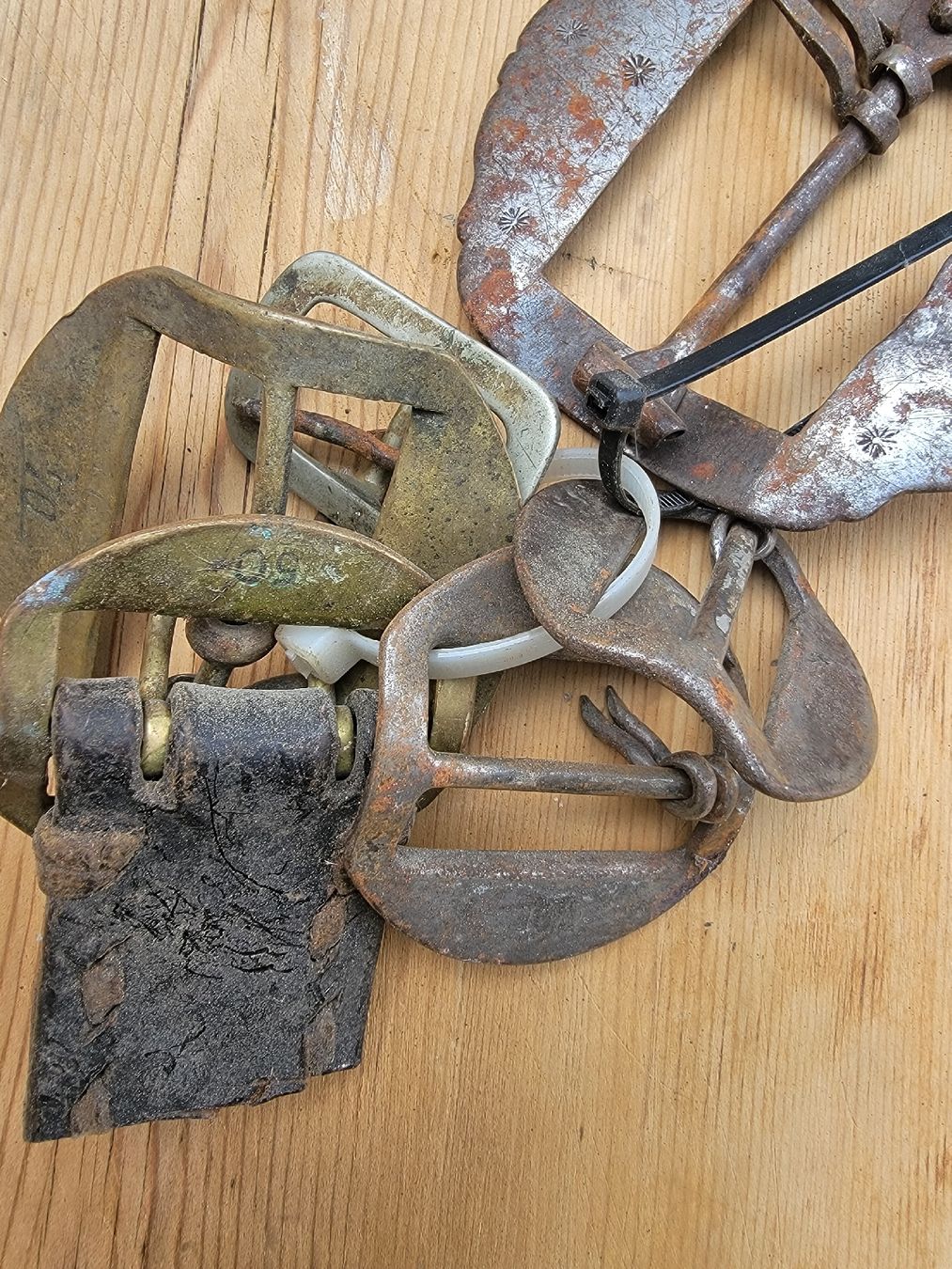 Cloches & sonnailles: Schnallen fûr Glockenriemen – D'occasion à Sils im Domleschg par platin01 1