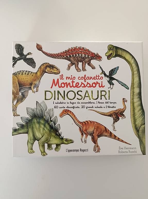 Giochi: Dinosauri Montessori – Usato da Locarno venduto da fer_rh7r