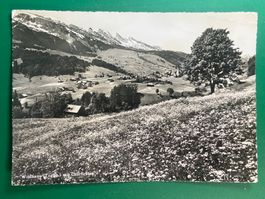 Wildhaus (Toggenburg)  mit Churfirsten