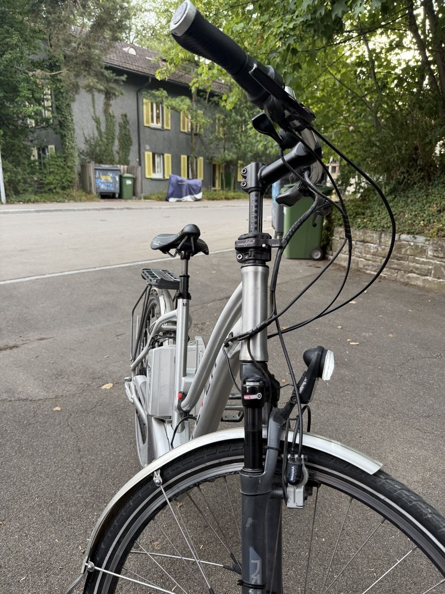 Flyer Biciclette: Flyer E-bike 399Watt Halt noch gut – Usato da Zürich venduto da Ismail-GG 2
