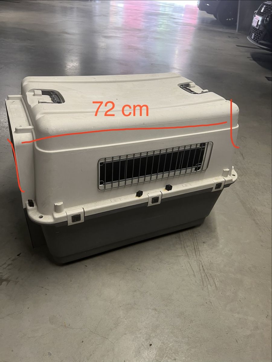 Gabbie, trasporto & Sicurezza: Hundetransportbox – Usato da Aesch LU venduto da Winterfee78 1