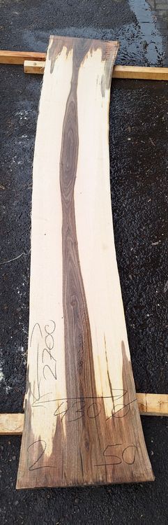 Articoli in legno: Nussbaumbrett 50mm – Nuovo (secondo la descrizione) da Waldkirch venduto da bauprofi87