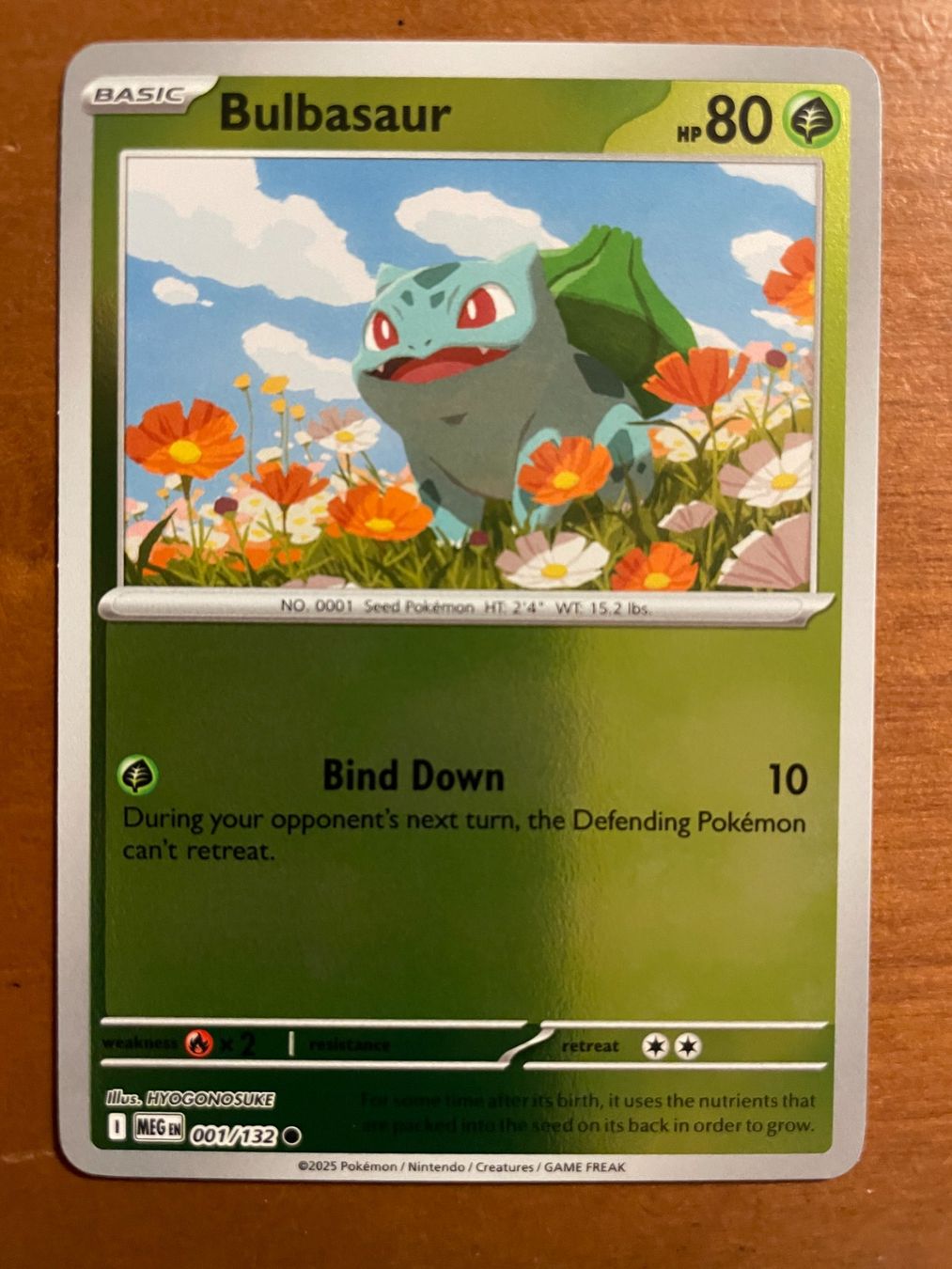 Pokémon Carte collezionabili: Pokemon Bulbasaur Reverse (Versand gratis) – Nuovo (secondo la descrizione) da Chur venduto da Angerson