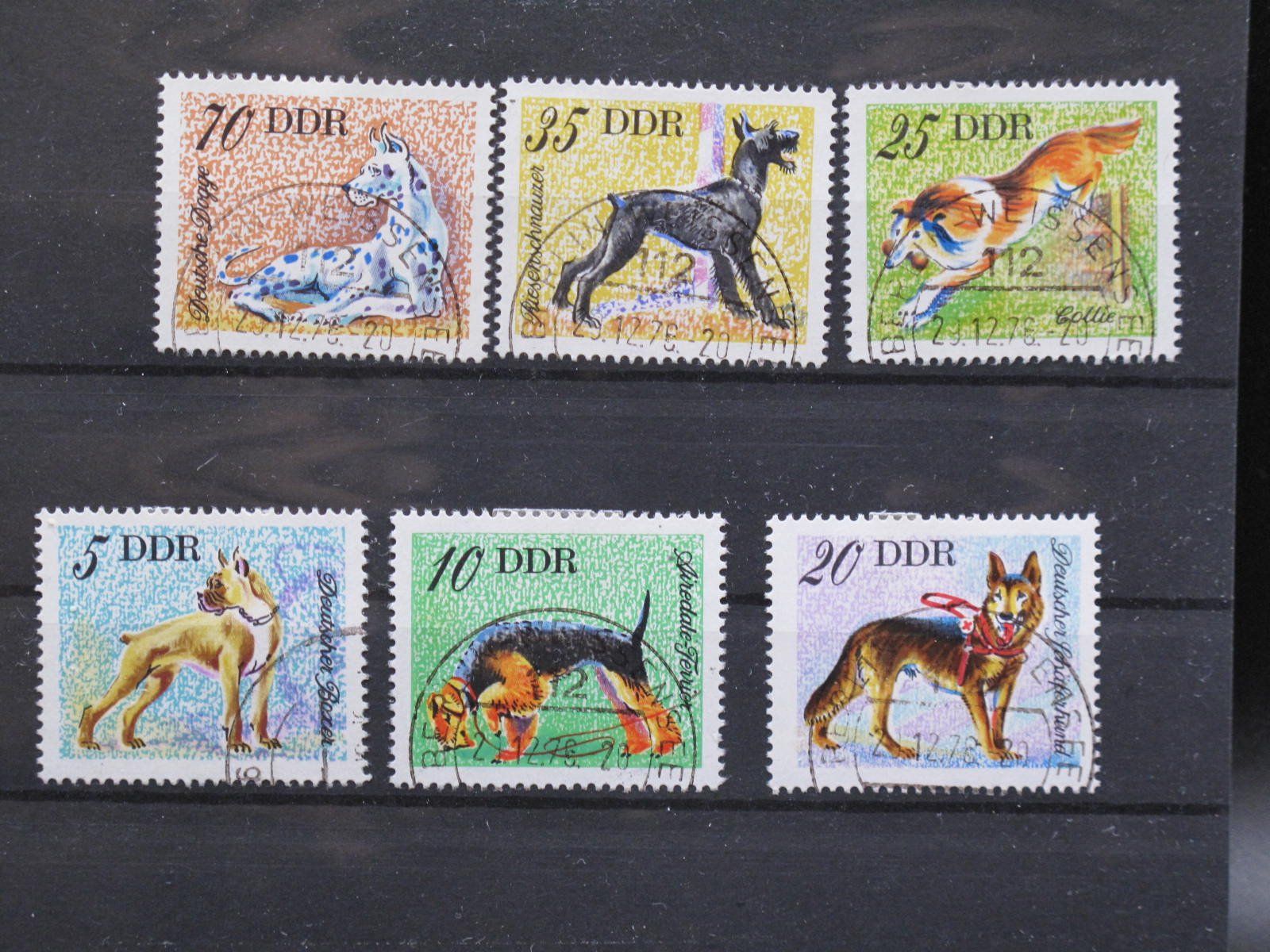 Tutti i francobolli: DDR 1976 Hunderassen gest. – Usato da Wil SG venduto da fva01