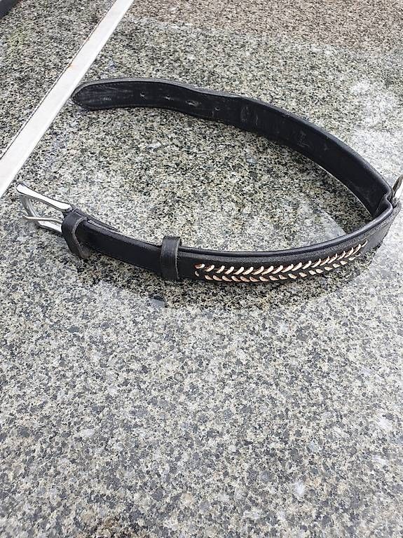 Guinzagli & Collari: Hunde echt Leder Halsband – Usato da Rickenbach LU venduto da trucker.s 1