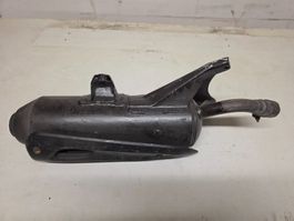 Auspufftopf Honda Foresigth 250