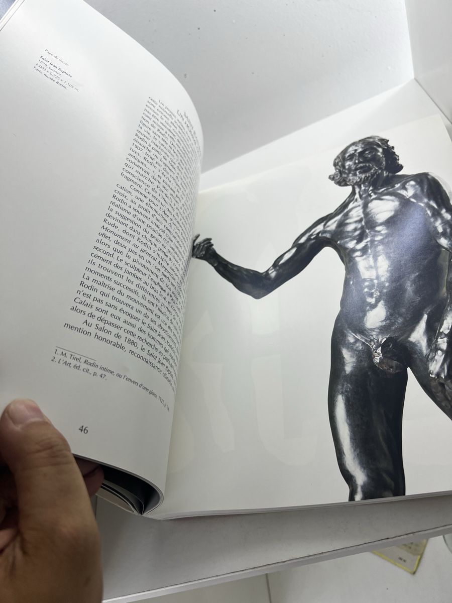 Bücher: Rodin La passion mouvement – Gebraucht aus Wettingen von NickInc 2