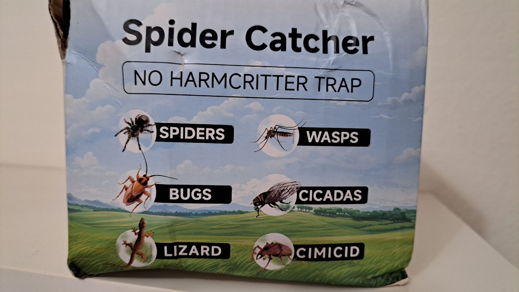 Sonstiges für Haushalt & Wohnen: insectes et araignées piège inoffensif – Neu (gemäss Beschreibung) aus Genève von Gribouilly