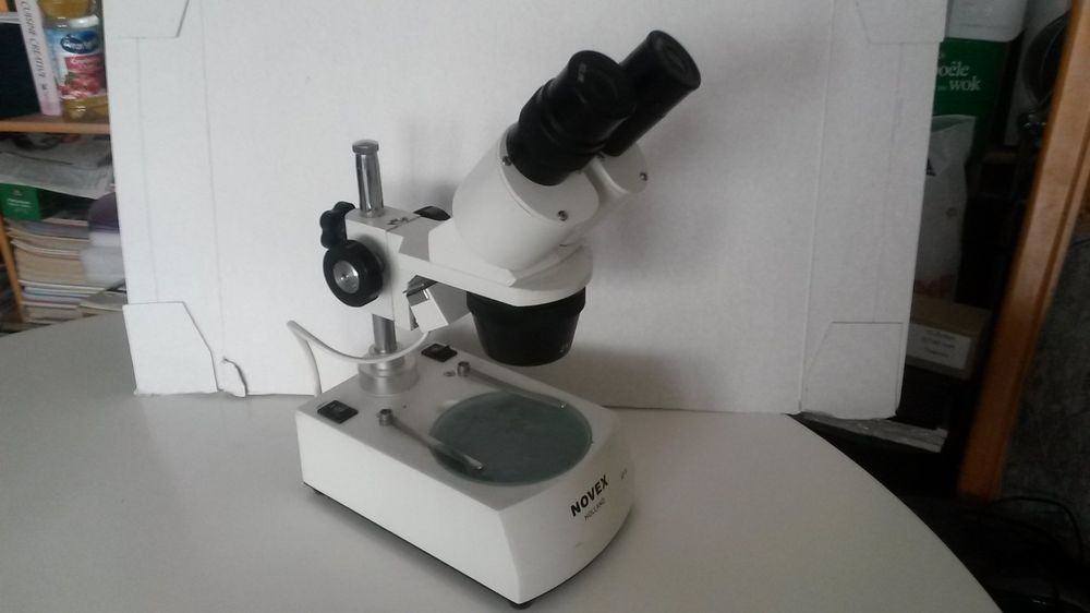 Microscope NOVEX Holland AP - 8 testé ok | Kaufen auf Ricardo