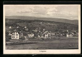 Lengnau, Blick über die Wiese auf die O