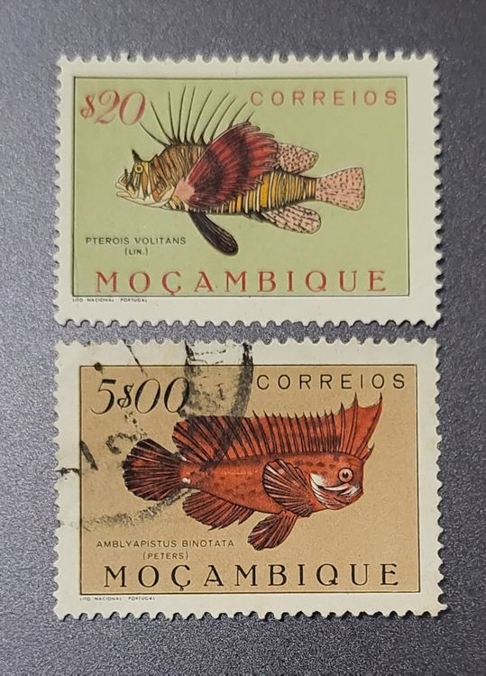 Prophila Mosambik Kollektion – 50 Verschiedene Briefmarken, Original & Ungeprüft, Ideal Für Sammler, Top-Qualität