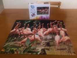 Puzzle World Puzzle: 1000 Teile: Karibische Flamingos