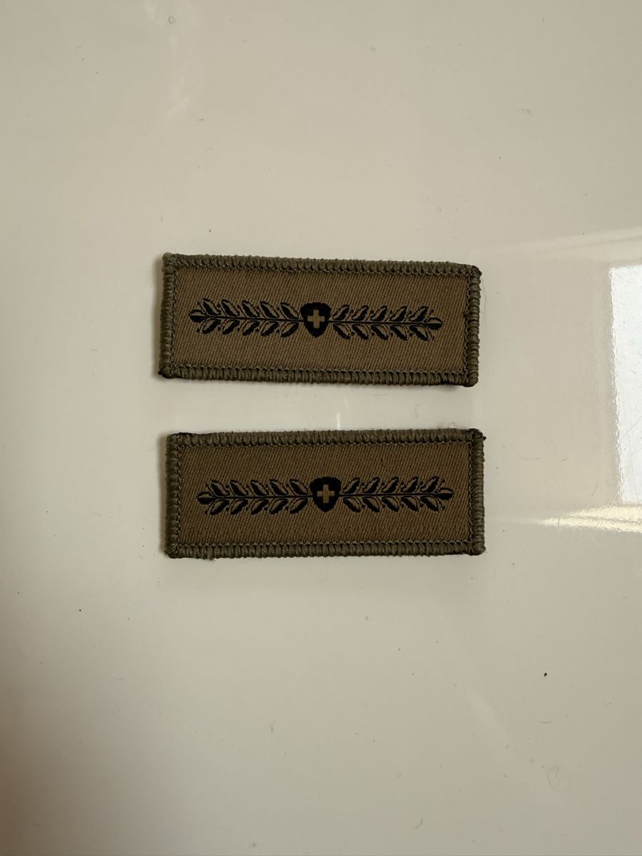 Schweizer Armee Placchette & Badge: Milizabzeichen Klett – Usato da Appenzell venduto da BumpRiver