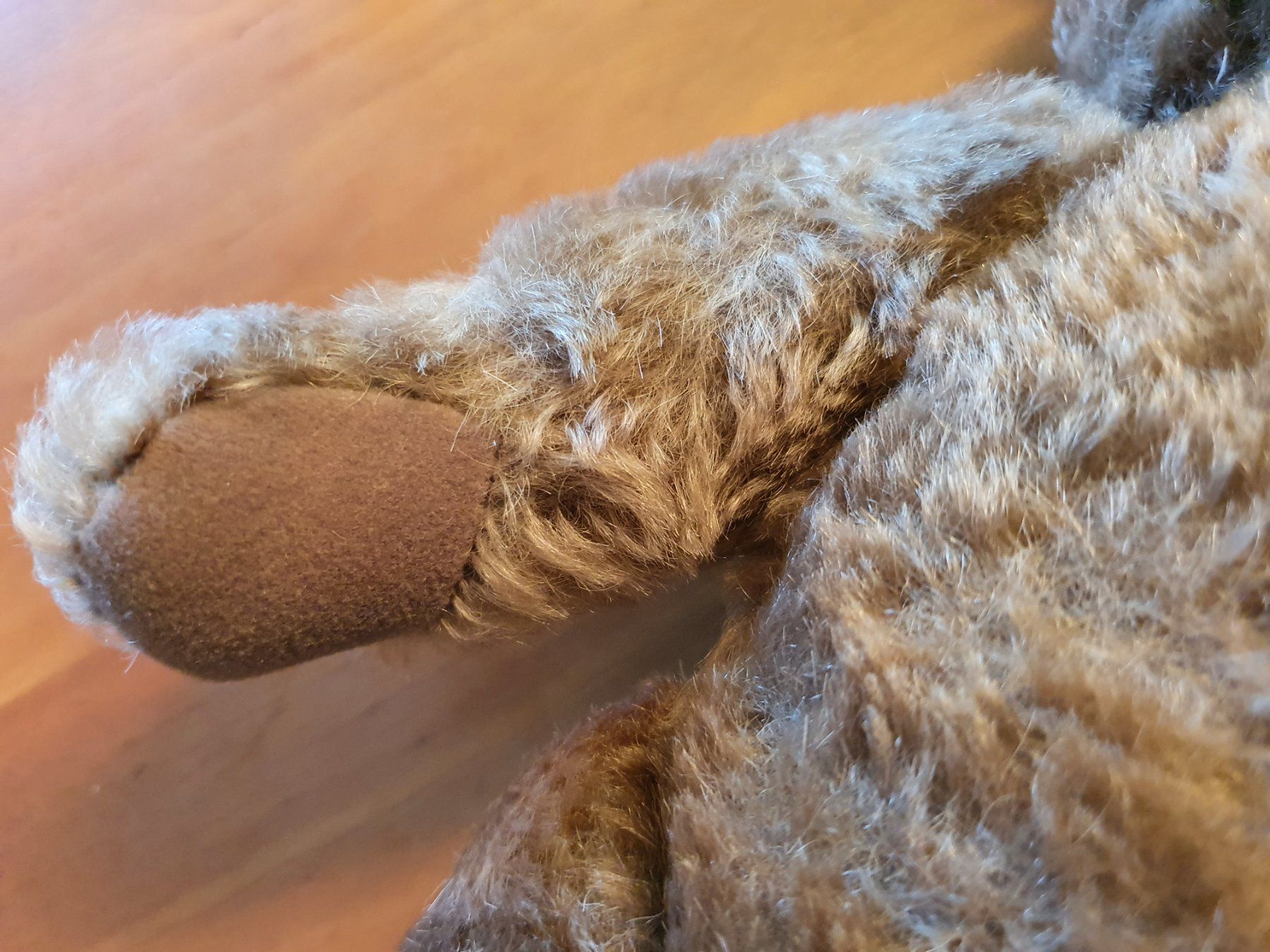 Giocattoli: Antiker Teddybär – Usato da Thalwil venduto da meinverkauf 4