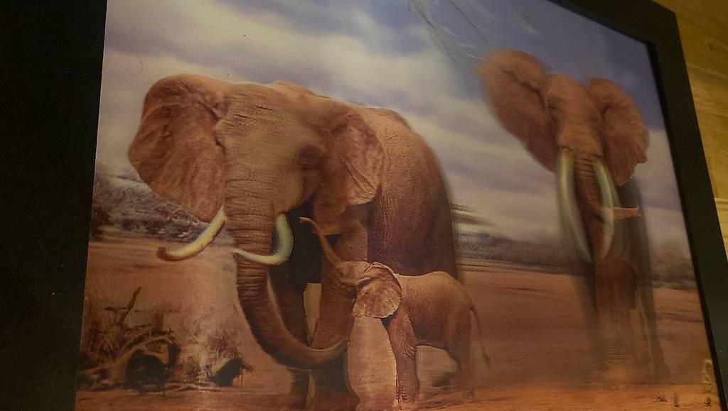 Tableaux: Tableau éléphants 3D  – D'occasion à Cugy VD par dianette81 1
