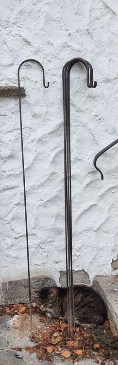 Laternenhalter, Metallstäbe, Garten Kaufen auf Ricardo