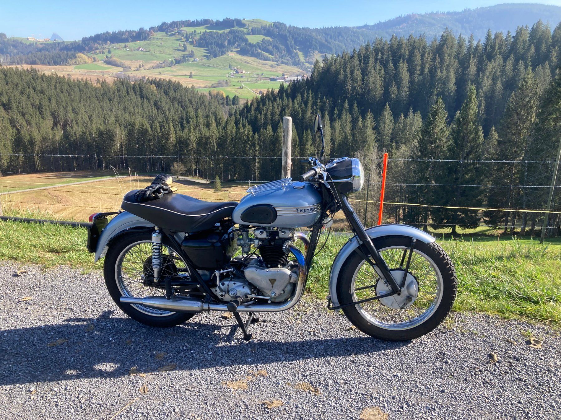 Triumph Strasse: Triumph  T110 650 – Gebraucht aus Ebertswil von guz_b7zz